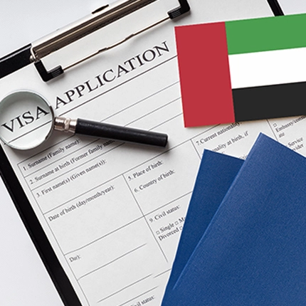 Check Visa Application Status